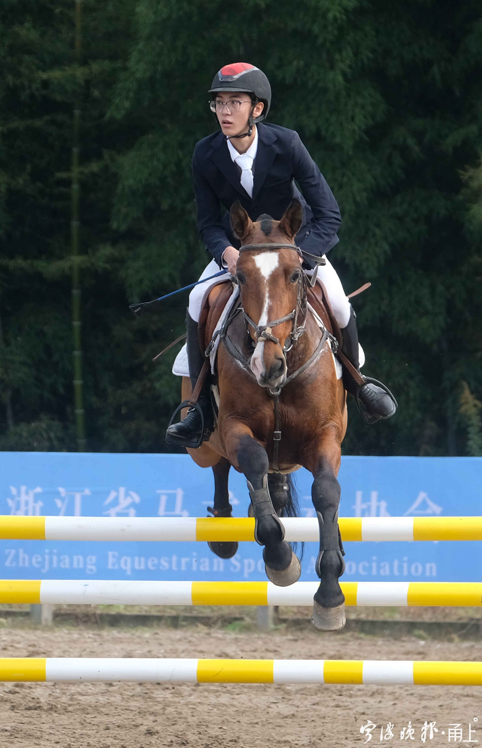 厄瓜多尔选手在马术比赛中奋勇拼搏,掌声雷动 厄瓜多尔选手在马术比赛中奋勇拼搏,掌声雷动