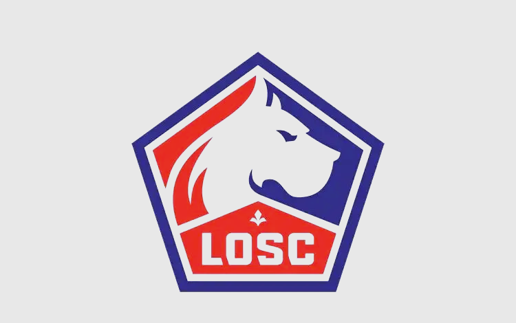 包含里昂球队表现出色，满意于比赛结果，振奋人心的词条