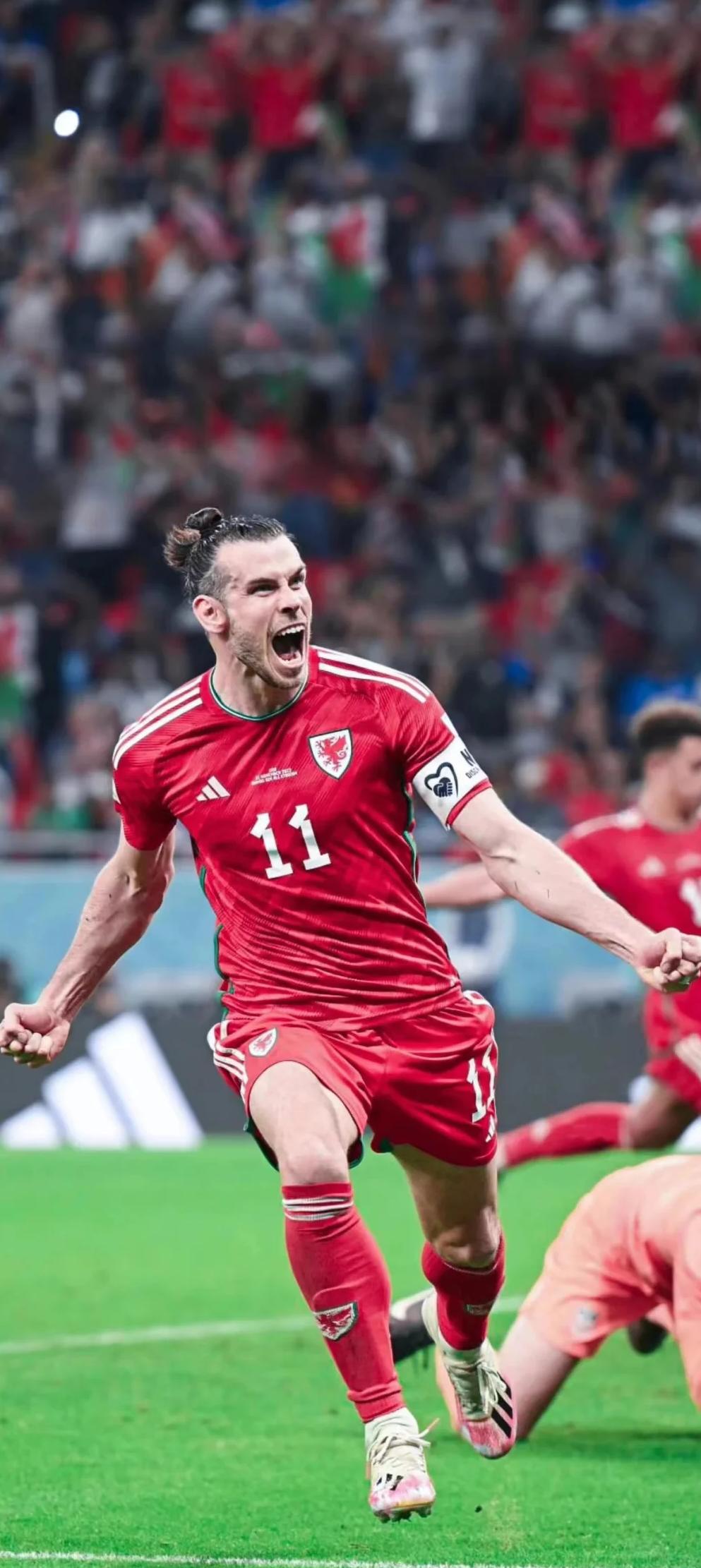 匈牙利主场不敌威尔士，出线前景渺茫，掌声雷动