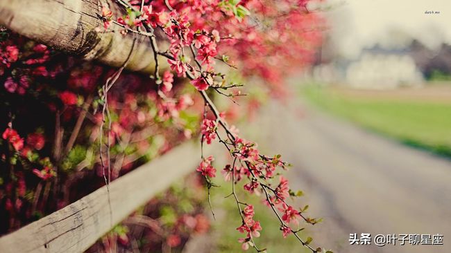 家乡偶遇金牌得主，感慨艰辛付出终有回报，势不可挡