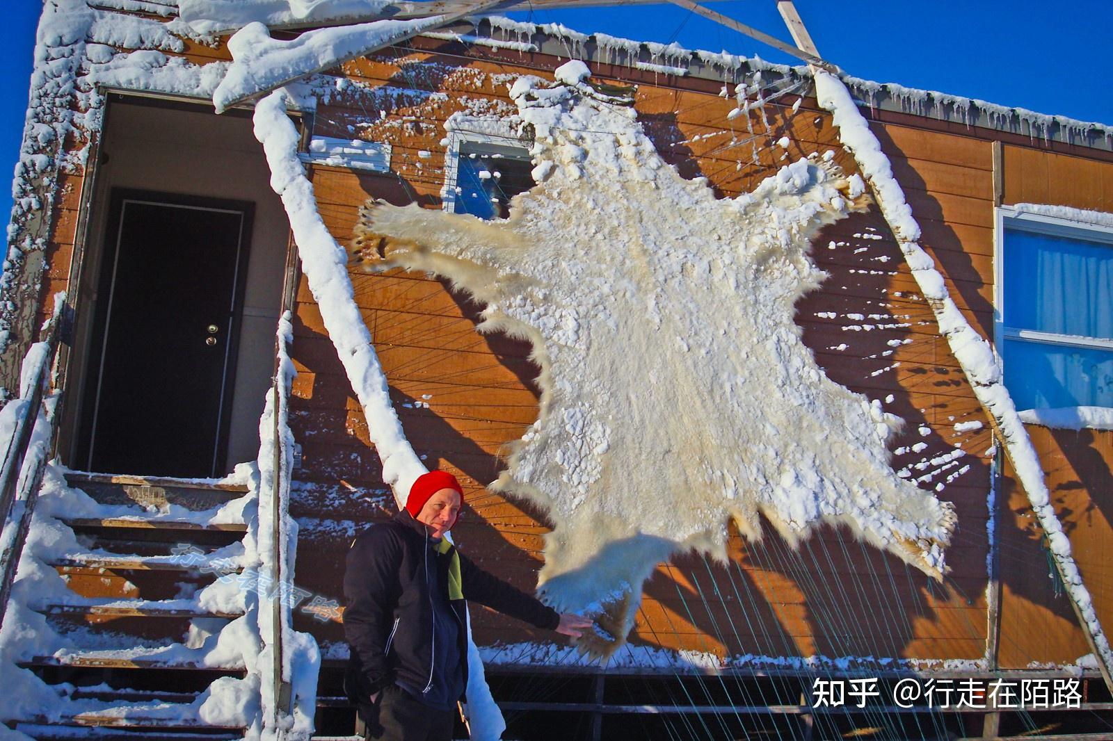 格陵兰篮球精英赛纷争不断引人注目,引发热议的简单介绍 格陵兰篮球精英赛纷争不断引人注目,引发热议的简单介绍