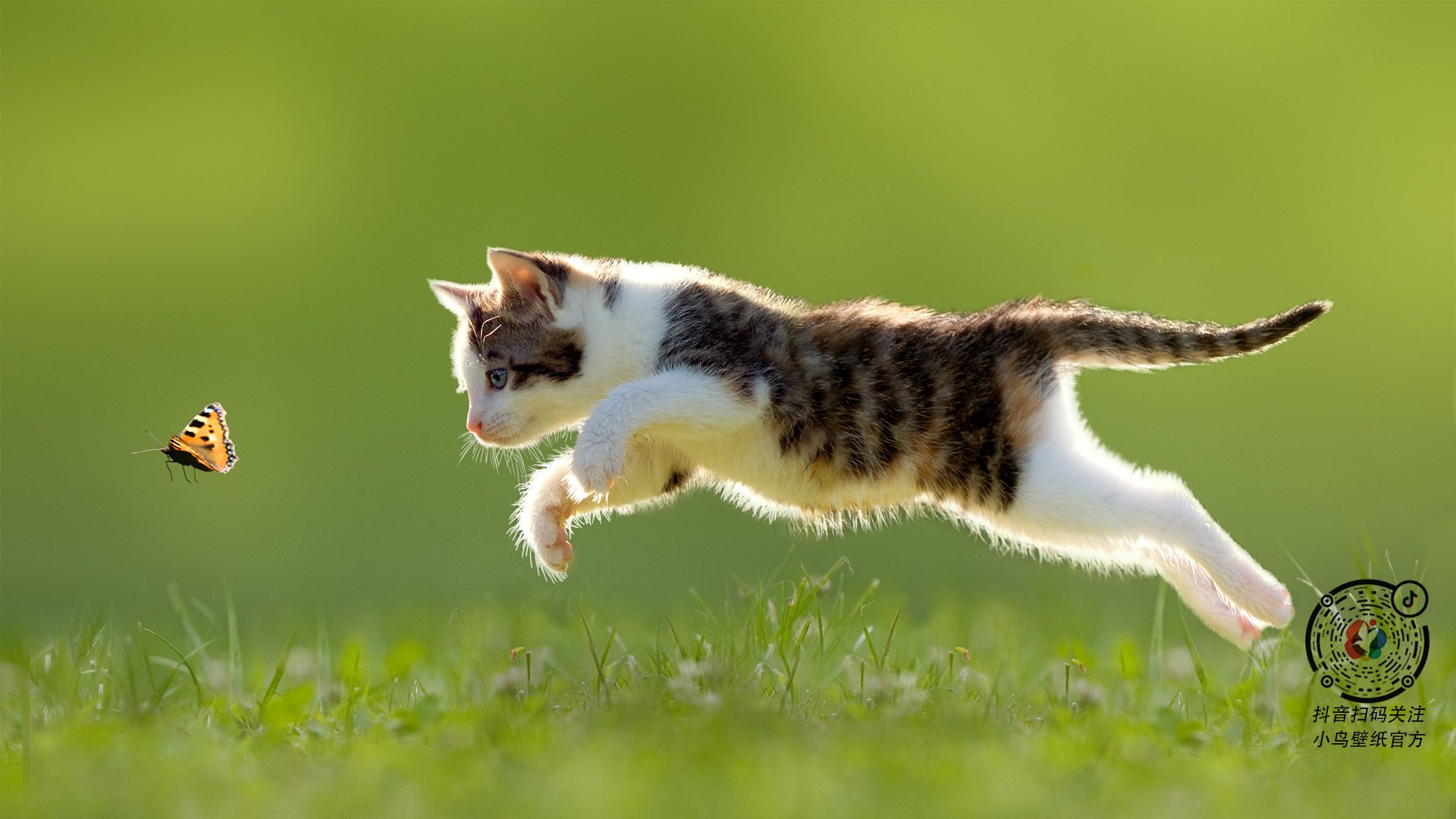 欧冠决赛夜的美洲隔空对决,当灰熊的铁蹄踏碎步行者的黎明